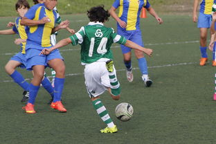 新赛季揭幕战！武汉卓尔对决重庆斯威，谁将成为新一季的黑马？  第1张